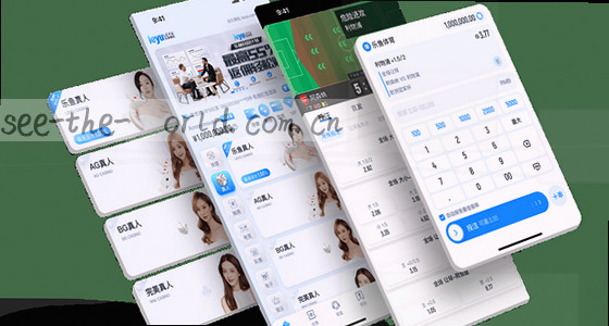 如何访问该系统的登录页面？
